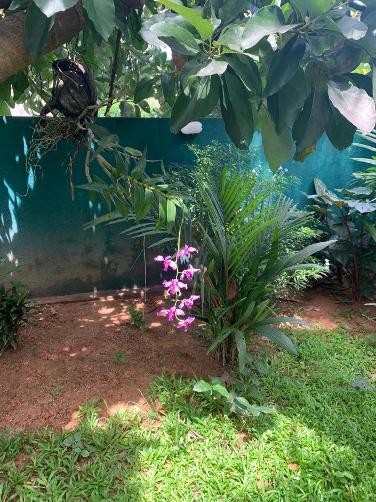 Villa Peace Heaven Galle Luaran gambar